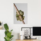Vietnamese Mossy Frog on a Branch Poster (Thuiskantoor)