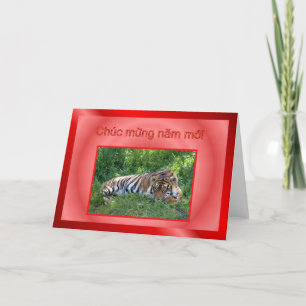 VIETNAMESE TEST HAPPY NIEUW JAAR FEESTDAGEN KAART