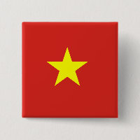 Vietnamese vlag
