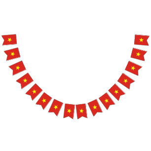 Vietnamese vlag vlaggetjes