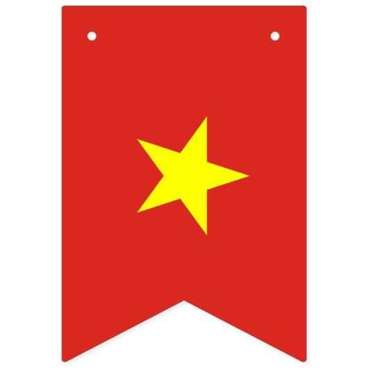 Vietnamese vlag vlaggetjes (Tweede vlag)