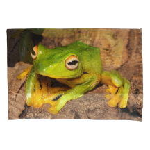 Vietnamese zwarte-webbedkikker