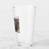 Viëtterans-onderscheiding Glas (Links)