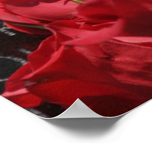 Viëtveteranenherdenking Poster (Hoek)