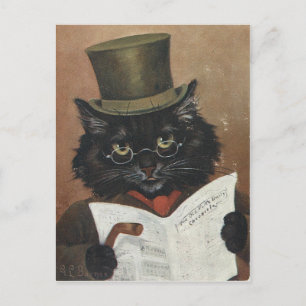 Vieux chat journal briefkaart