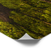 View from the Needles Highway, South Dakota Poster (Hoek)