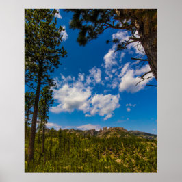 View from the Needles Highway, South Dakota Poster