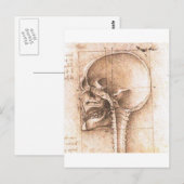 View of a Skull by Leonardo Da Vinci c. 1489 Briefkaart (Voorkant / Achterkant)