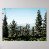 View of Kings Canyon in the Sierra Nevada Forest Poster (Voorkant)