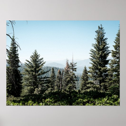 View of Kings Canyon in the Sierra Nevada Forest Poster (Voorkant)