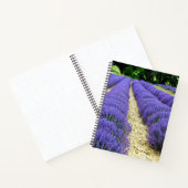 View of lavender fields in the Drôme Provençale Notitieboek (Binnen)