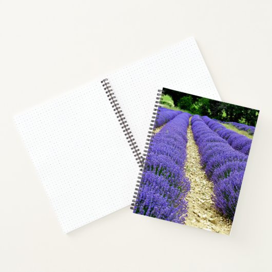 View of lavender fields in the Drôme Provençale Notitieboek (Binnen)