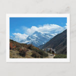 Views from Nepal on way to MOUNT EVEREST Briefkaart<br><div class="desc">Richting: Postcard Whether you're sending a charming hello, a heartfelt thanks or a special announcement, Zazzle's custom postcards are the perfecte way to keep in touch. Add your favorite picture or pick a customizable design and make someone's day with a simpele "hi"! Afmetingen: 4, 25 x 5, 6 inch (portret)...</div>