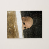 vieze dolfijnen uit het raam peeren legpuzzel (Horizontaal)