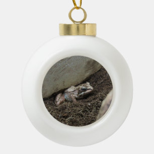 vieze kikker keramische bal ornament