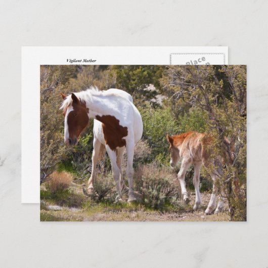 Vigilant moeder briefkaart (Voorkant / Achterkant)