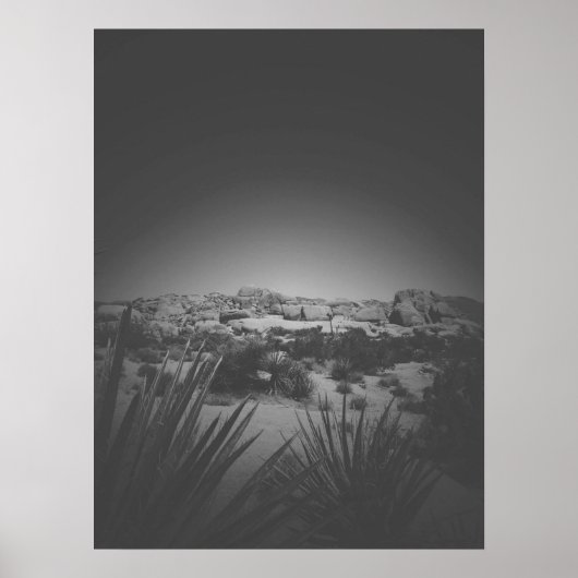 Vignette Black en White Joshua Tree Desert Scene Poster (Voorkant)