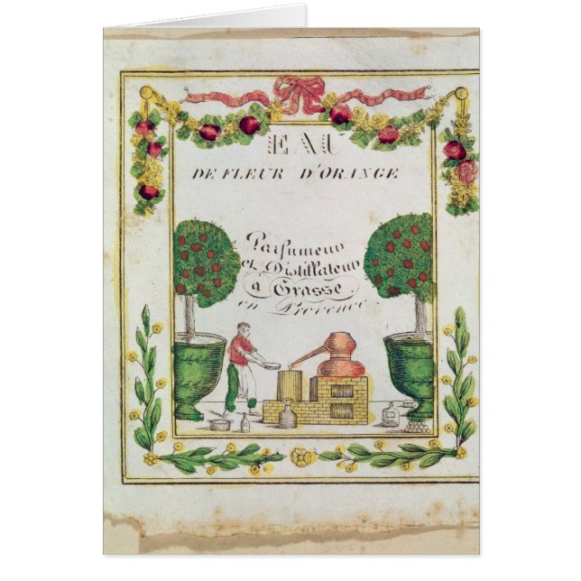 Vignette of "Eau de Fleur d'Oranje" (Voorkant)
