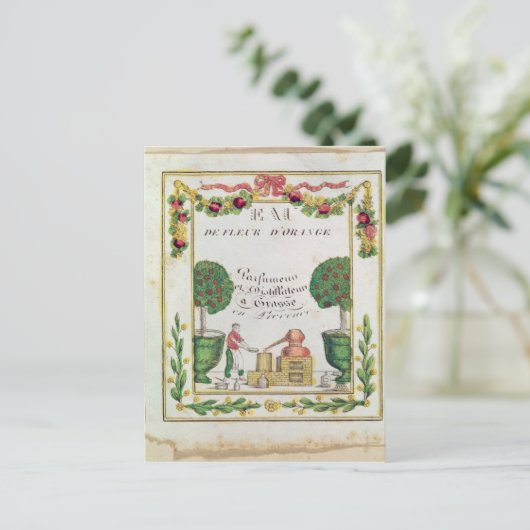 Vignette of "Eau de Fleur d'Oranje" Briefkaart (Staand voorkant)