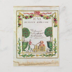 Vignette of "Eau de Fleur d'Oranje" Briefkaart