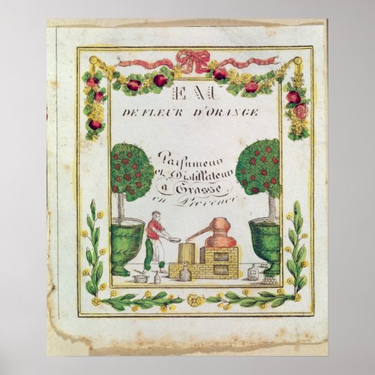 Vignette of "Eau de Fleur d'Oranje" Poster (Voorkant)