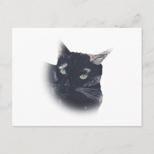 Vignette van Tortoise Shell Cat Face Briefkaarten (Voorkant)