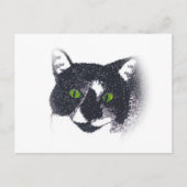 Vignette van Tuxedo Cat Face Briefkaarten (Voorkant)