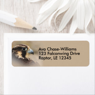 Vignetted Peregrine Falcon Bird of Prey Etiket