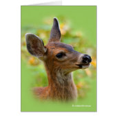 Vignetted Portret of Smiling Blacktail Deer Fawn (Voorkant)