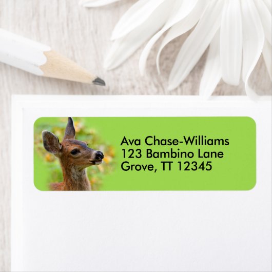Vignetted Portret of Smiling Blacktail Deer Fawn Etiket (Insitu)