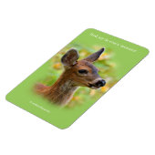 Vignetted Portret of Smiling Blacktail Deer Fawn Magneet (Linkerzijde)