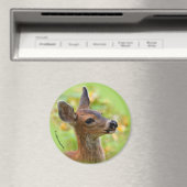 Vignetted Portret of Smiling Blacktail Deer Fawn Magneet (Insitu (Vaatwasser))