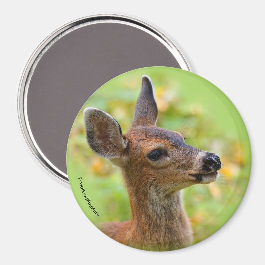 Vignetted Portret of Smiling Blacktail Deer Fawn Magneet (Voorkant / Achterkant)