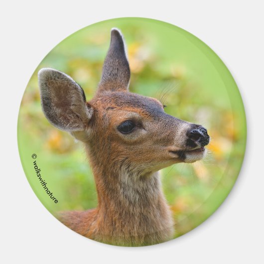 Vignetted Portret of Smiling Blacktail Deer Fawn Magneet (Voorkant)