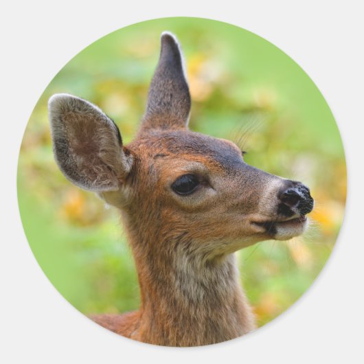 Vignetted Portret of Smiling Blacktail Deer Fawn Ronde Sticker (Voorkant)