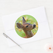 Vignetted Portret of Smiling Blacktail Deer Fawn Ronde Sticker (Envelop)