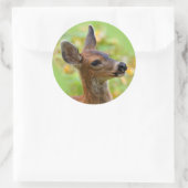 Vignetted Portret of Smiling Blacktail Deer Fawn Ronde Sticker (Tas)