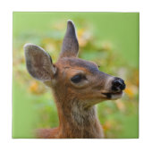Vignetted Portret of Smiling Blacktail Deer Fawn Tegeltje (Voorkant)