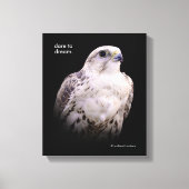 Vignetted Portret van een Inquisitive Saker Falcon Canvas Afdruk (Voorkant)