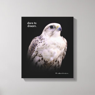 Vignetted Portret van een Inquisitive Saker Falcon Canvas Afdruk