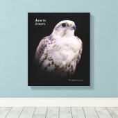 Vignetted Portret van een Inquisitive Saker Falcon Canvas Afdruk (Insitu (Houten vloer))