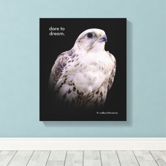 Vignetted Portret van een Inquisitive Saker Falcon Canvas Afdruk (Insitu (Houten vloer))