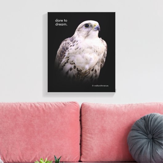 Vignetted Portret van een Inquisitive Saker Falcon Canvas Afdruk (Insitu (Woonkamer))