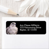 Vignetted Portret van een Inquisitive Saker Falcon Etiket (Insitu)