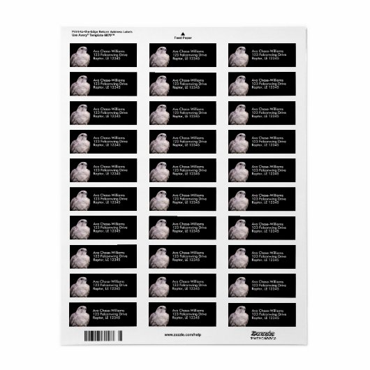 Vignetted Portret van een Inquisitive Saker Falcon Etiket (Full Sheet)