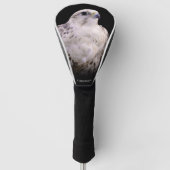 Vignetted Portret van een Inquisitive Saker Falcon Golfheadcover (Voorkant)