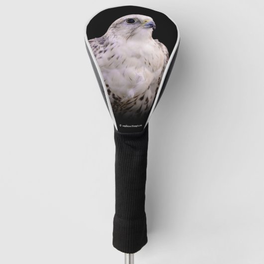 Vignetted Portret van een Inquisitive Saker Falcon Golfheadcover (Voorkant)