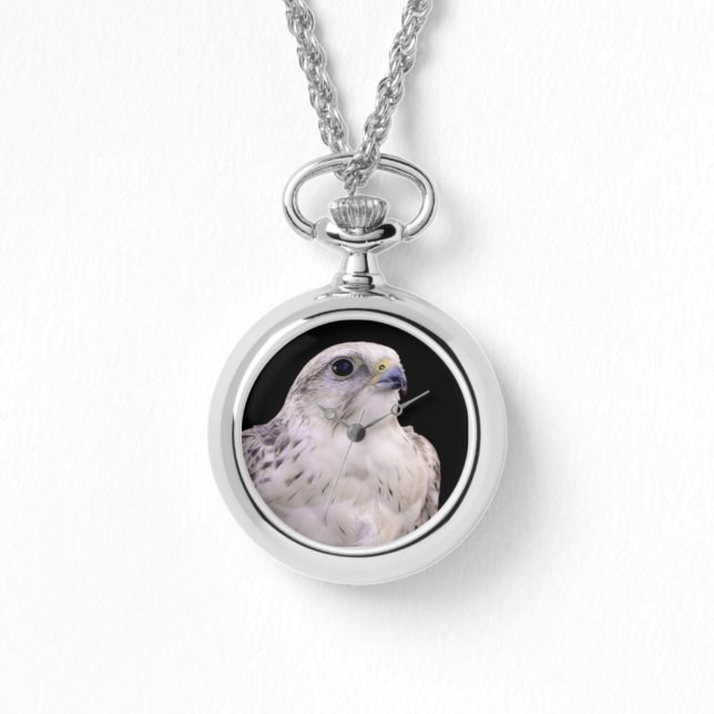 Vignetted Portret van een Inquisitive Saker Falcon Horloge (Voorkant)