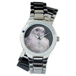 Vignetted Portret van een Inquisitive Saker Falcon Horloge