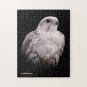 Vignetted Portret van een Inquisitive Saker Falcon Legpuzzel (Verticaal)
